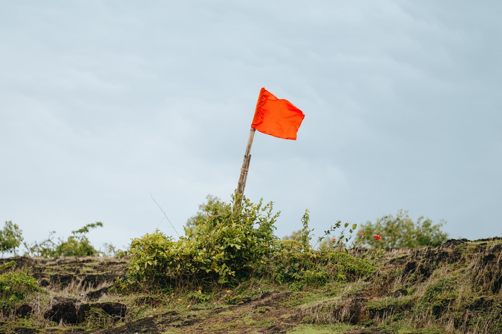 Red Flags in Commercial Due Diligence Process Part 2